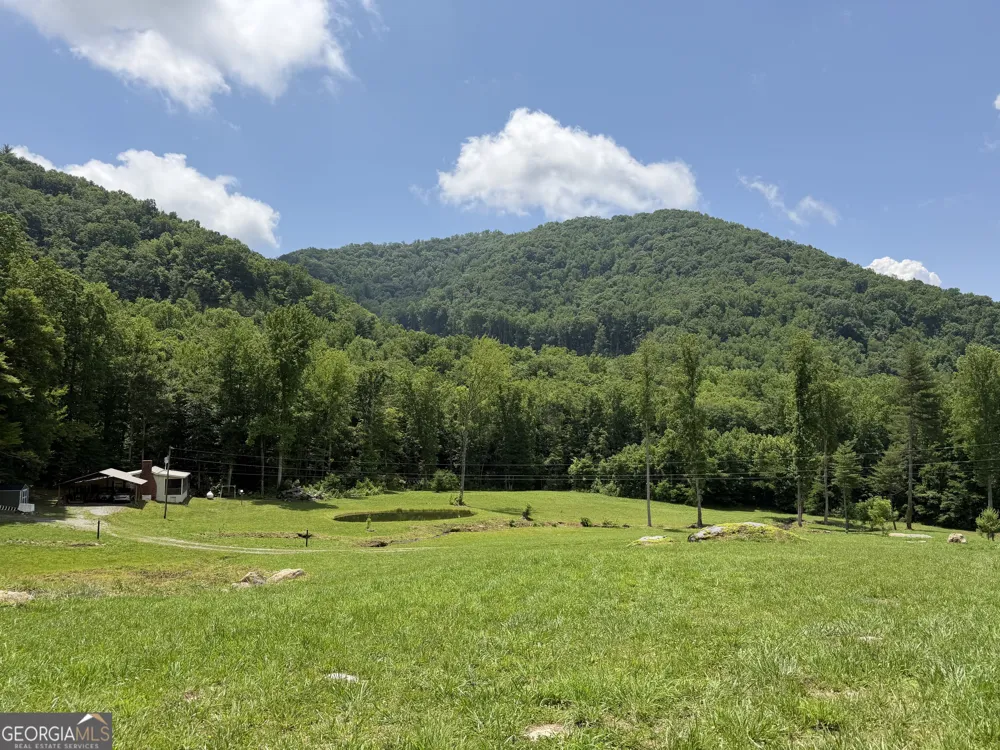 1449 Muskrat Creek RD Hayesville, NC 28904
