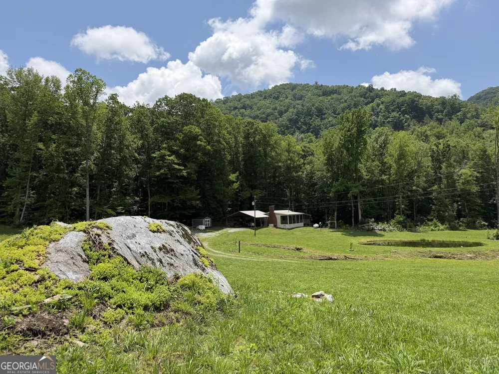 1449 Muskrat Creek RD Hayesville, NC 28904