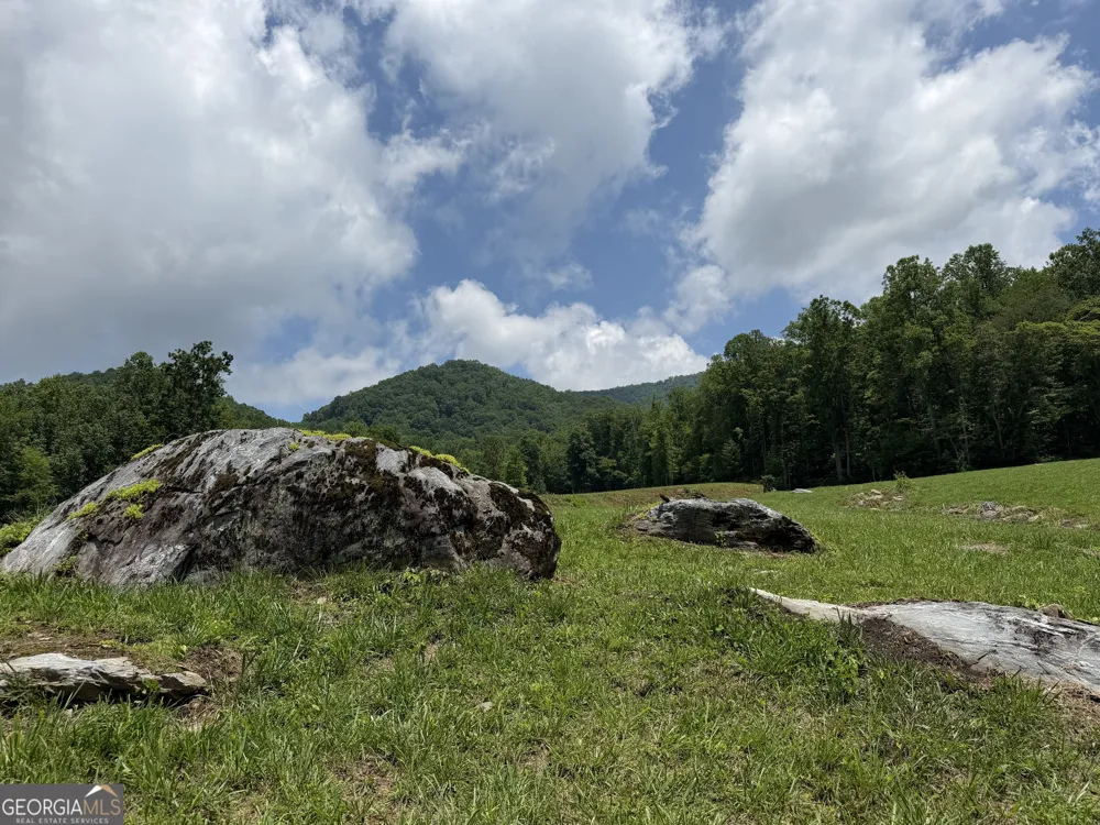 1449 Muskrat Creek RD Hayesville, NC 28904