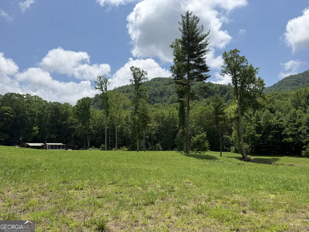 1449 Muskrat Creek RD Hayesville, NC 28904