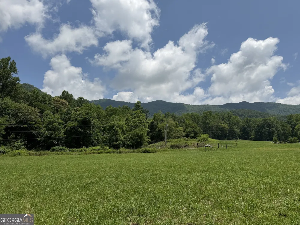 1449 Muskrat Creek RD Hayesville, NC 28904