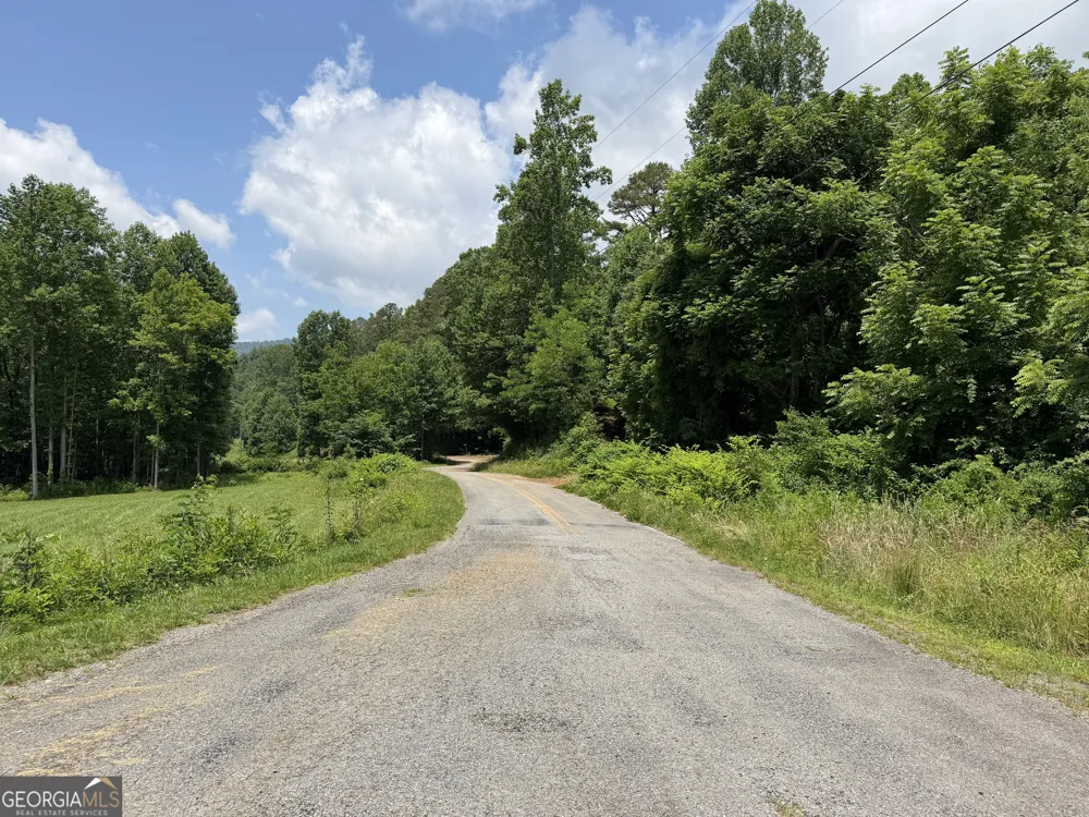 1449 Muskrat Creek RD Hayesville, NC 28904