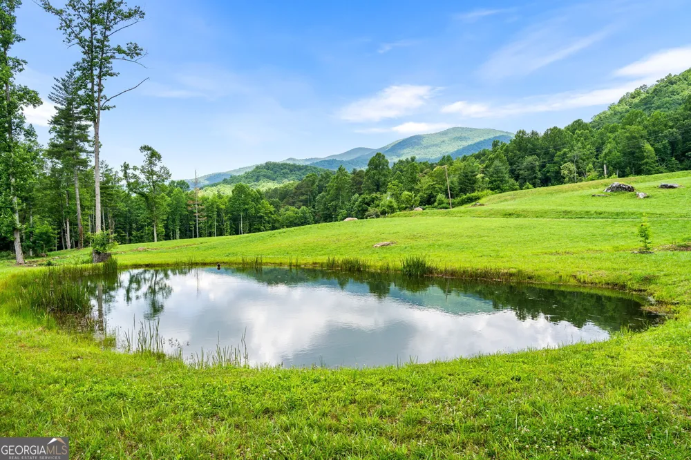 1449 Muskrat Creek RD Hayesville, NC 28904