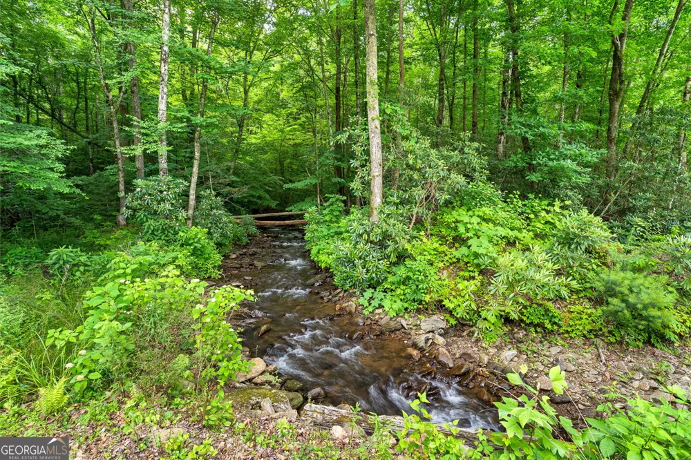 1449 Muskrat Creek RD Hayesville, NC 28904