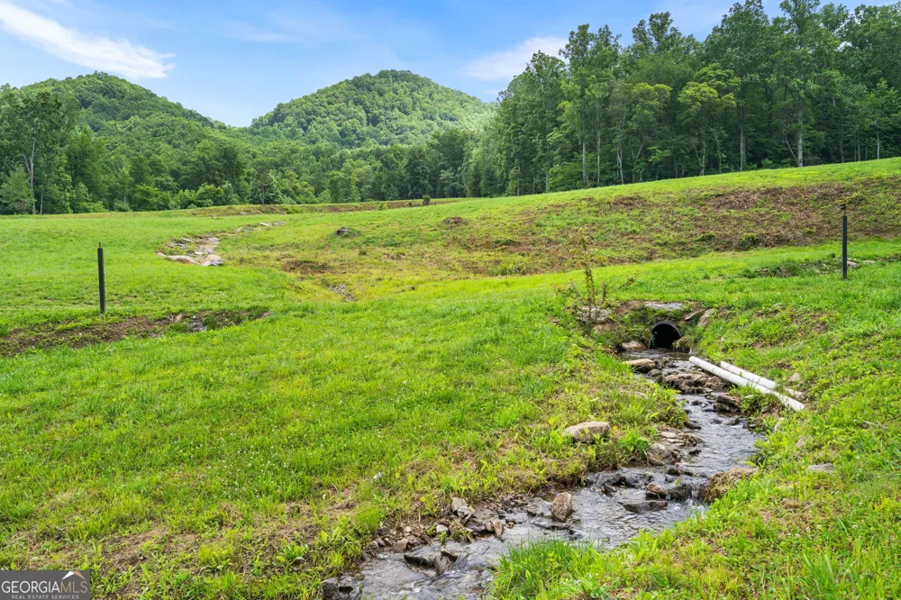 1449 Muskrat Creek RD Hayesville, NC 28904