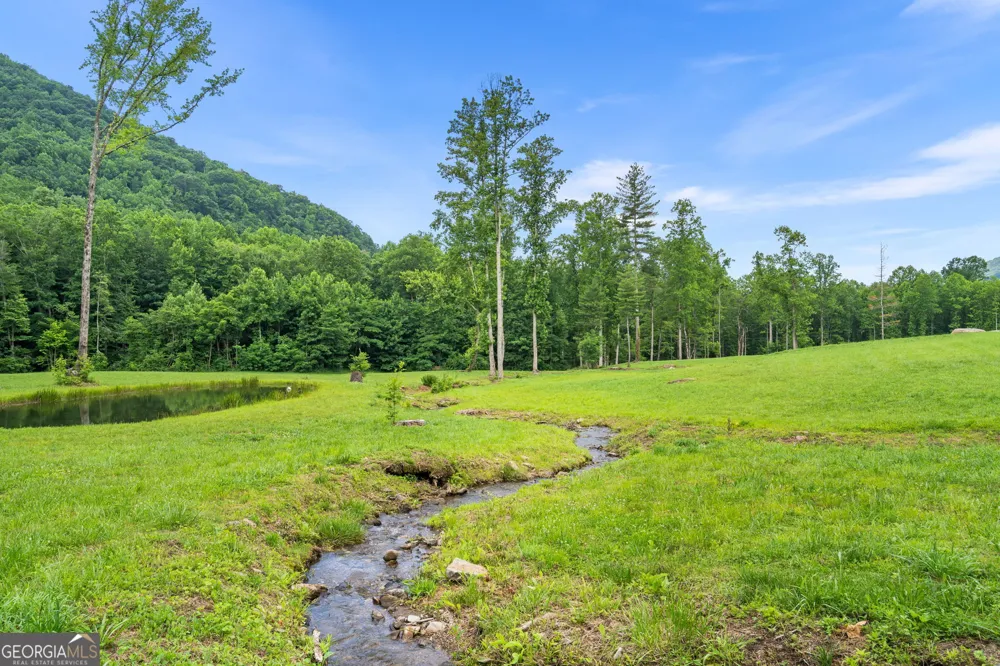 1449 Muskrat Creek RD Hayesville, NC 28904