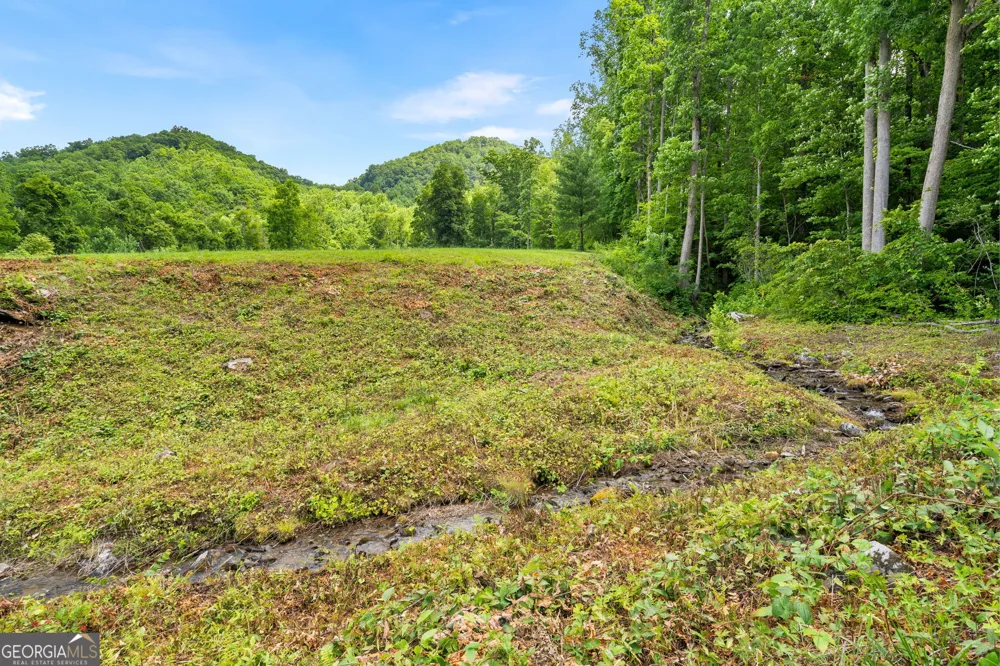 1449 Muskrat Creek RD Hayesville, NC 28904