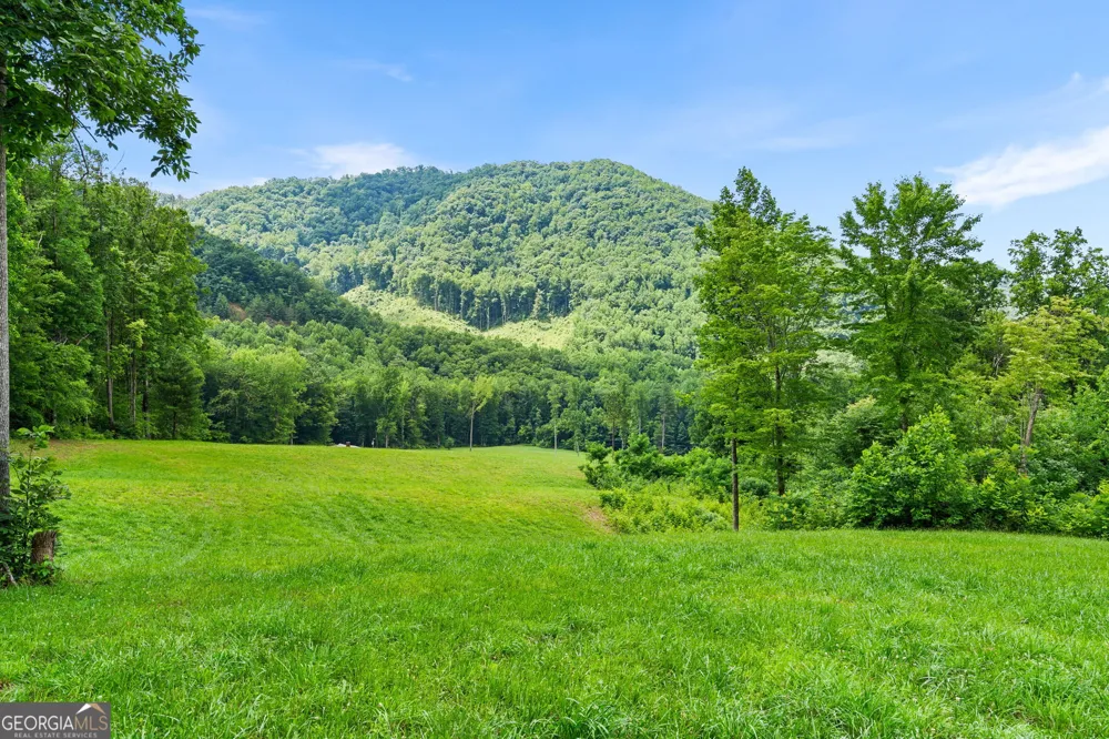1449 Muskrat Creek RD Hayesville, NC 28904