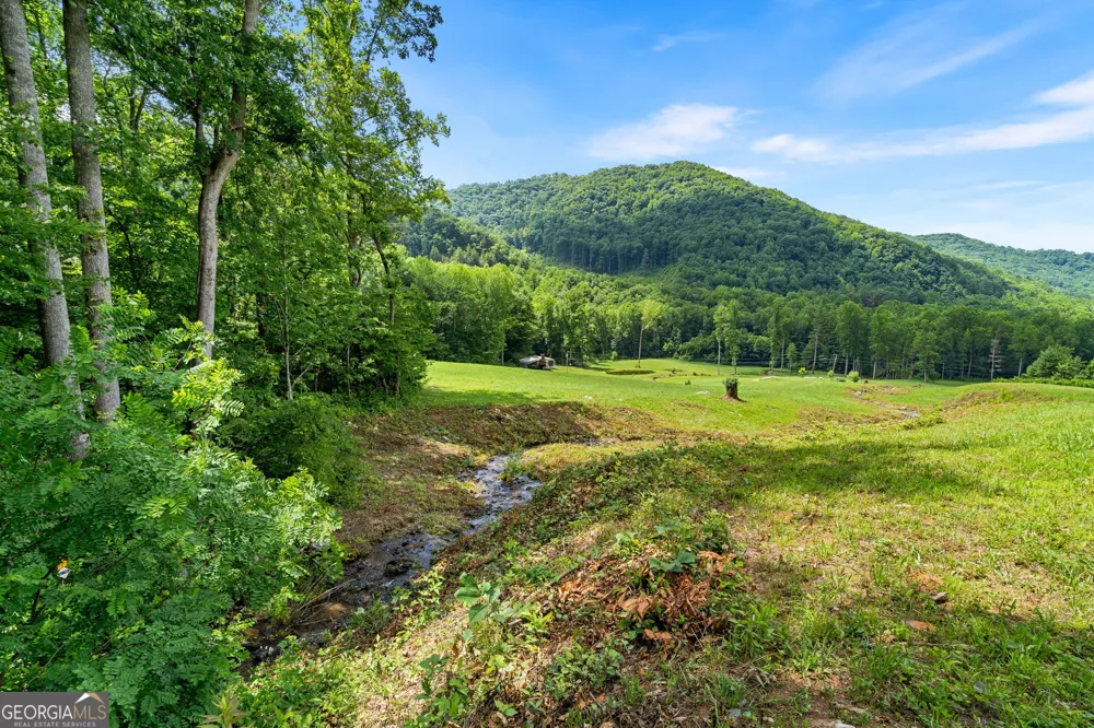 1449 Muskrat Creek RD Hayesville, NC 28904