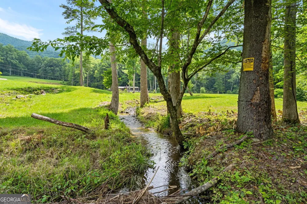 1449 Muskrat Creek RD Hayesville, NC 28904