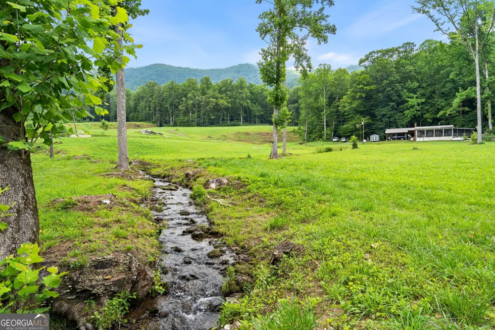 1449 Muskrat Creek RD Hayesville, NC 28904