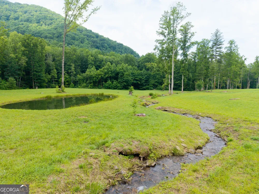 1449 Muskrat Creek RD Hayesville, NC 28904