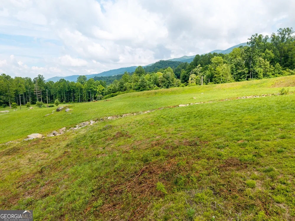 1449 Muskrat Creek RD Hayesville, NC 28904