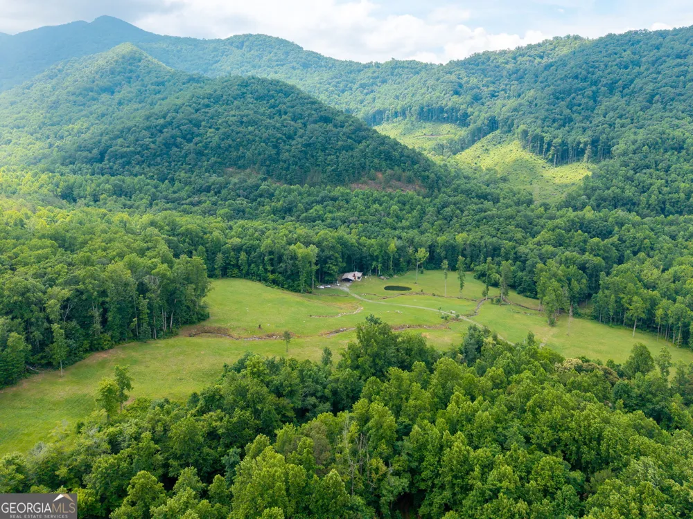 1449 Muskrat Creek RD Hayesville, NC 28904
