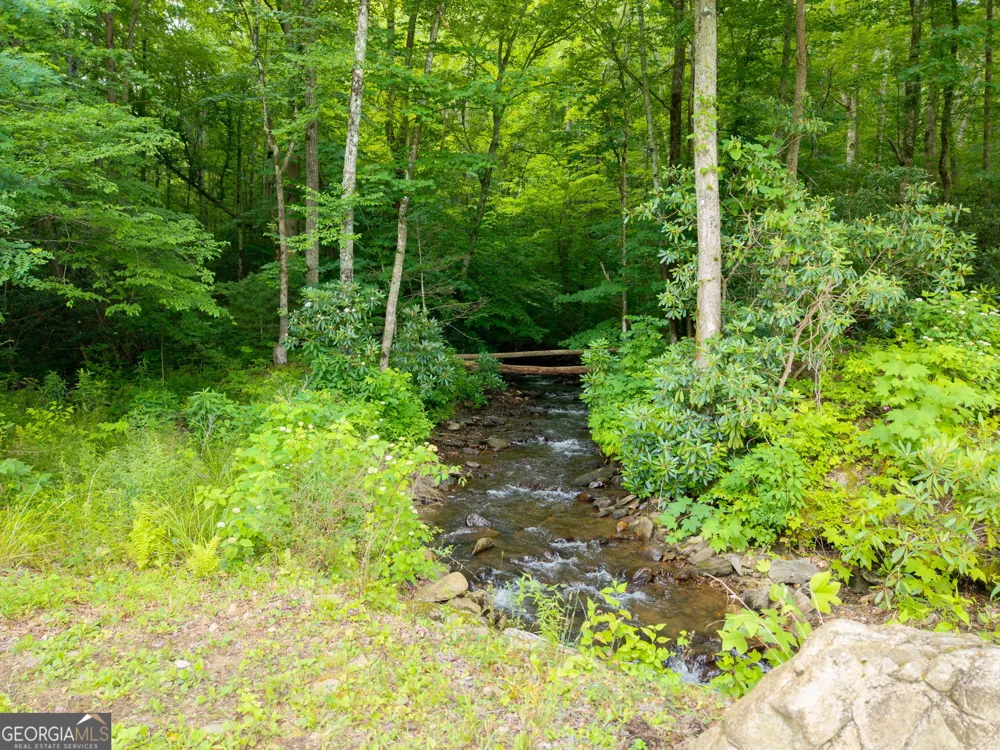 1449 Muskrat Creek RD Hayesville, NC 28904