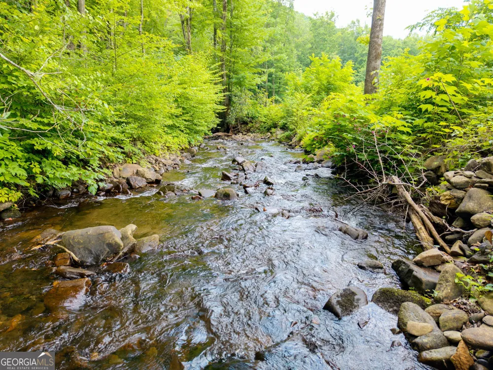 1449 Muskrat Creek RD Hayesville, NC 28904