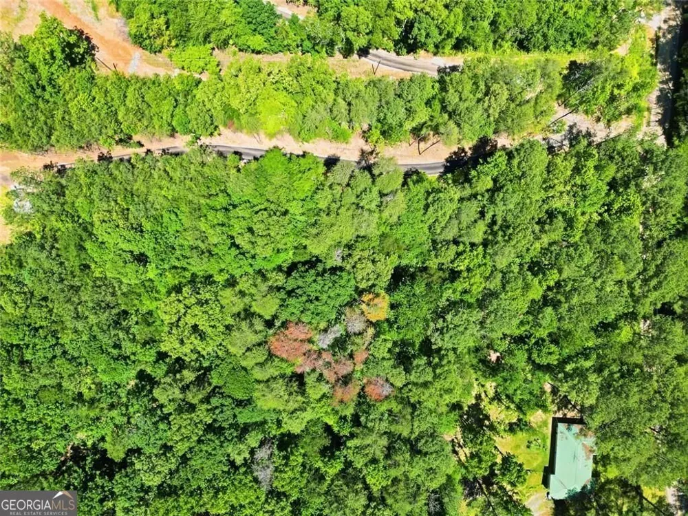 31 Kirk RD NW White, GA 30184