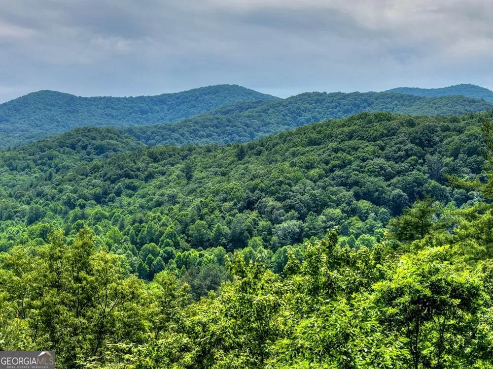 277 Hickory Nut TRL Cherry Log, GA 30522