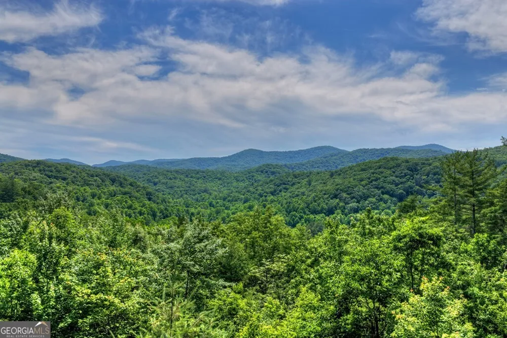 277 Hickory Nut TRL Cherry Log, GA 30522