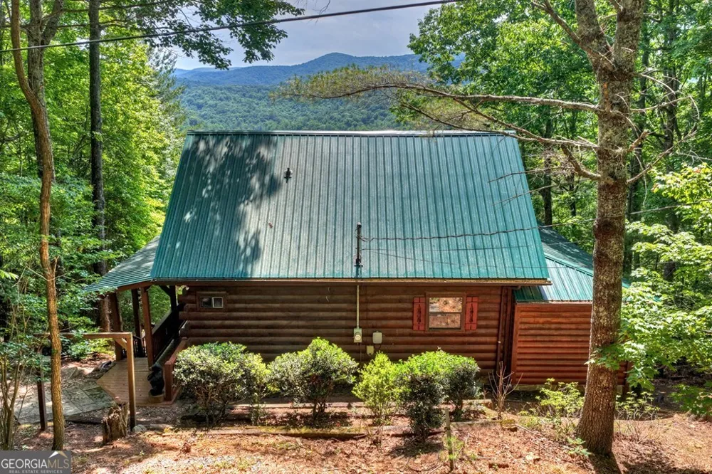 277 Hickory Nut TRL Cherry Log, GA 30522