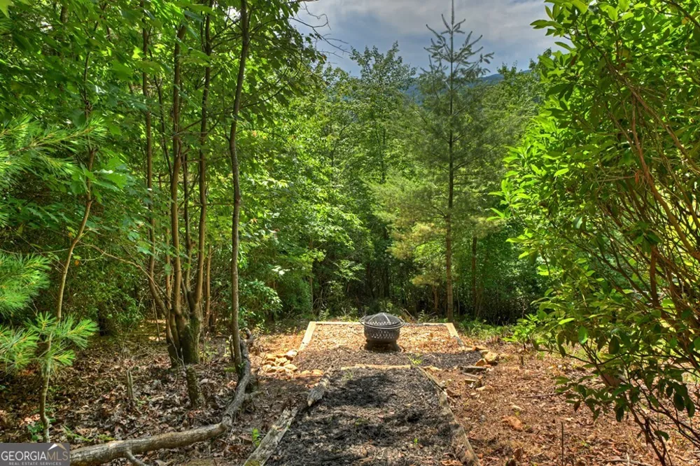 277 Hickory Nut TRL Cherry Log, GA 30522