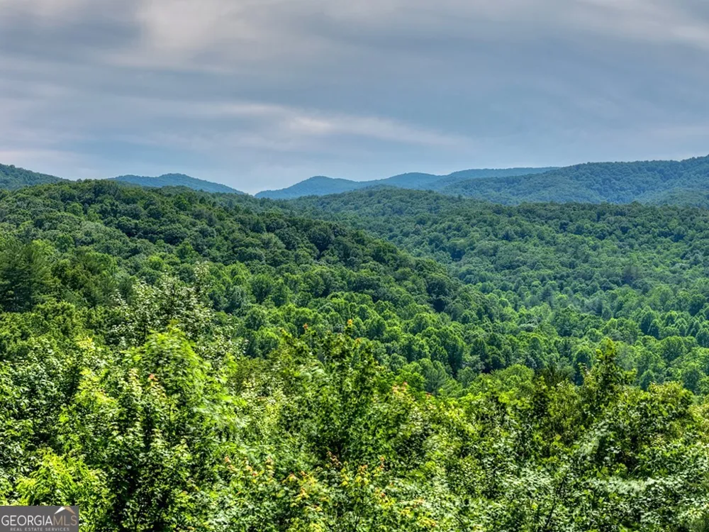 277 Hickory Nut TRL Cherry Log, GA 30522