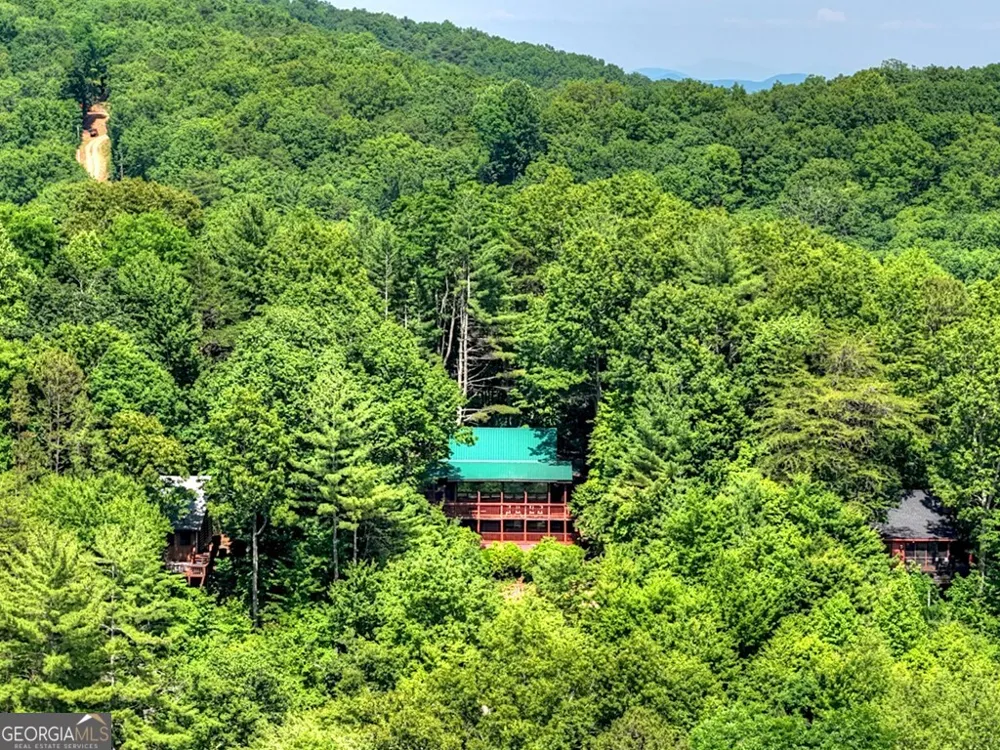 277 Hickory Nut TRL Cherry Log, GA 30522