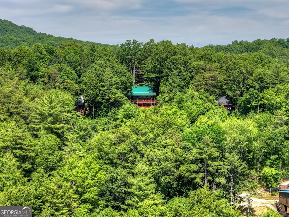 277 Hickory Nut TRL Cherry Log, GA 30522