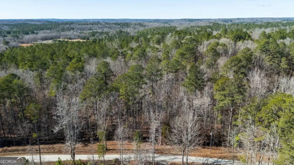 0 Pace RD Chattahoochee Hills, GA 30213