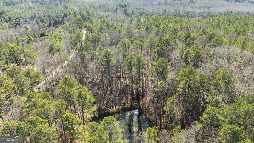 0 Pace RD Chattahoochee Hills, GA 30213