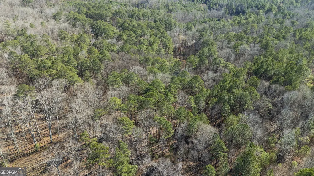 0 Pace RD Chattahoochee Hills, GA 30213