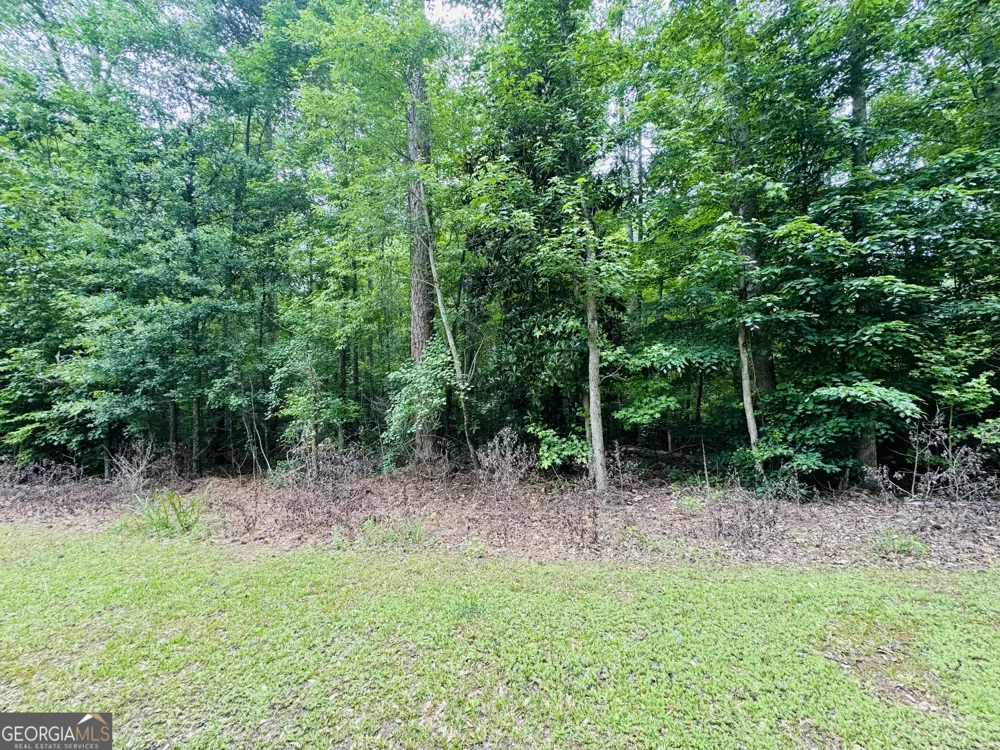 0 Pace RD Chattahoochee Hills, GA 30213