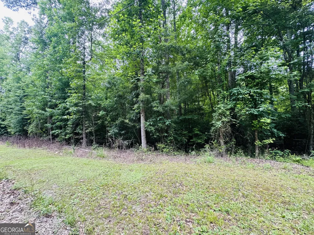 0 Pace RD Chattahoochee Hills, GA 30213