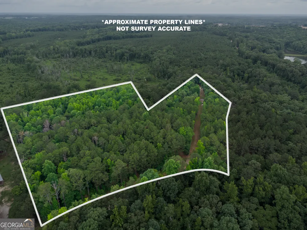331 Potts Pond RD Barnesville, GA 30204