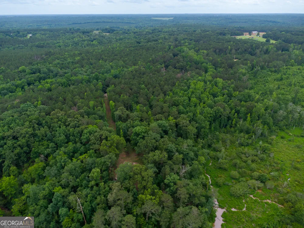 331 Potts Pond RD Barnesville, GA 30204