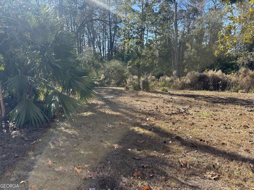 131 Huckabee ST Mcrae-Helena, GA 31055