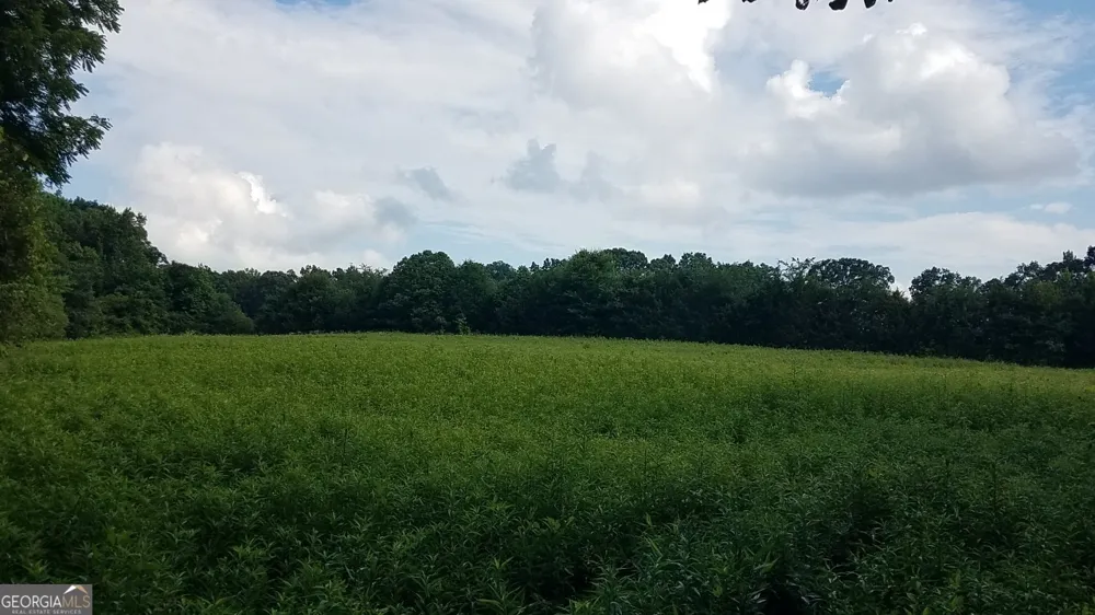 2411 Kesler RD Carnesville, GA 30521