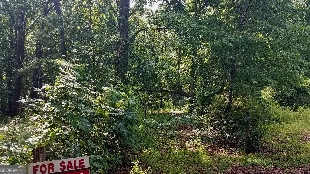2411 Kesler RD Carnesville, GA 30521