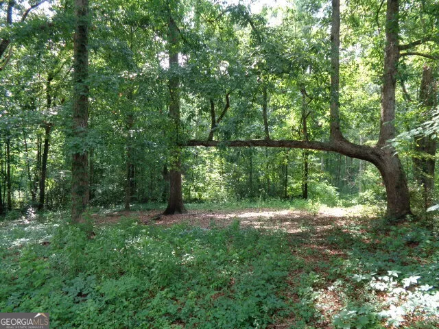 2411 Kesler RD Carnesville, GA 30521