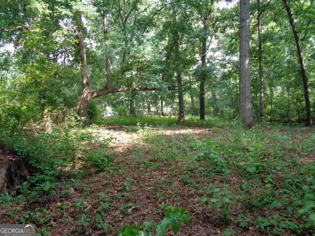 2411 Kesler RD Carnesville, GA 30521