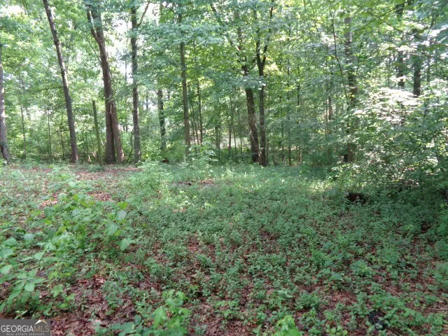 2411 Kesler RD Carnesville, GA 30521