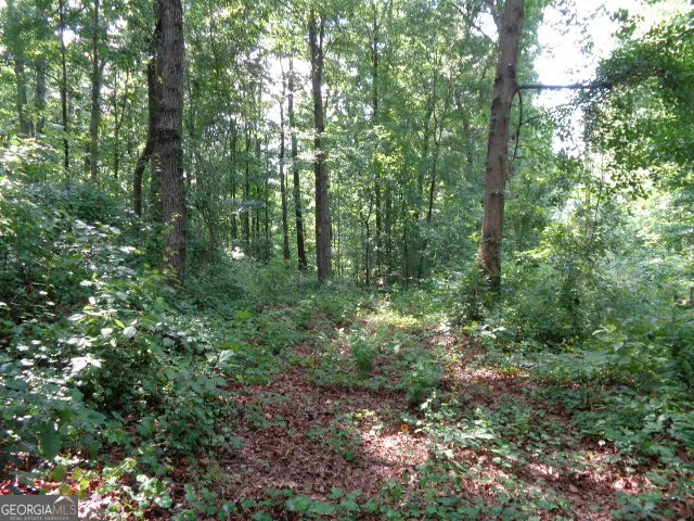 2411 Kesler RD Carnesville, GA 30521