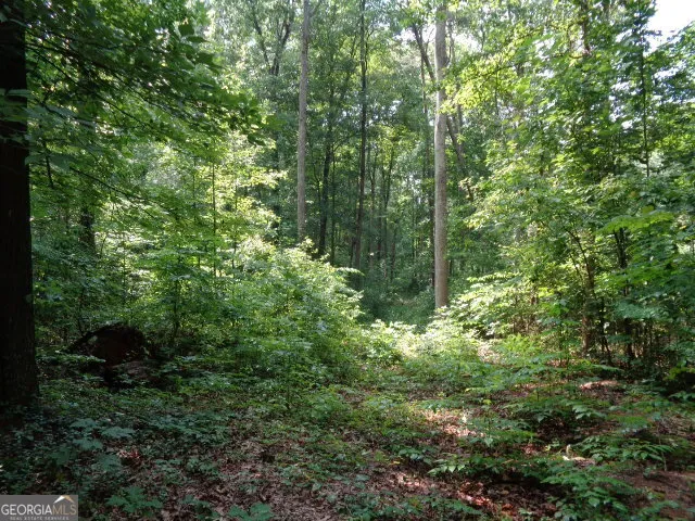 2411 Kesler RD Carnesville, GA 30521