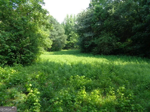 2411 Kesler RD Carnesville, GA 30521