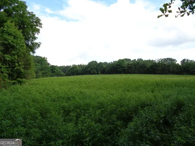 2411 Kesler RD Carnesville, GA 30521