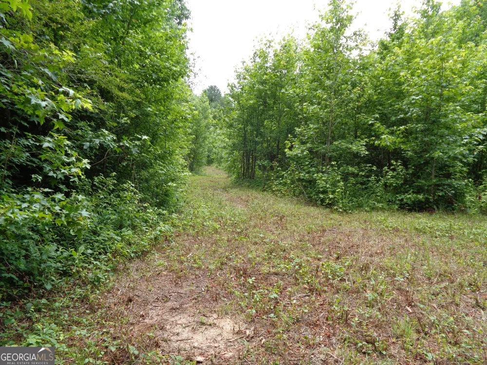 2411 Kesler RD Carnesville, GA 30521