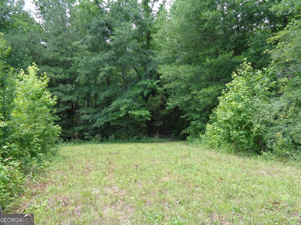 2411 Kesler RD Carnesville, GA 30521
