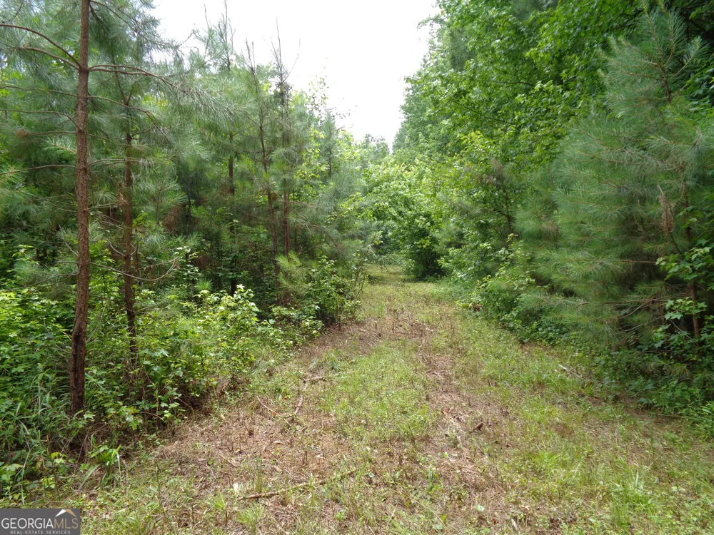 2411 Kesler RD Carnesville, GA 30521