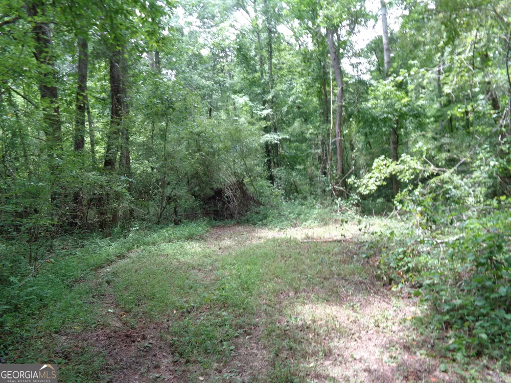 2411 Kesler RD Carnesville, GA 30521