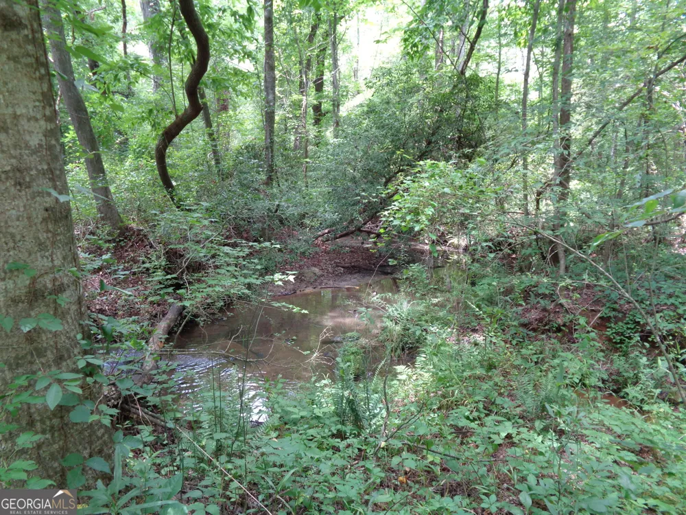 2411 Kesler RD Carnesville, GA 30521
